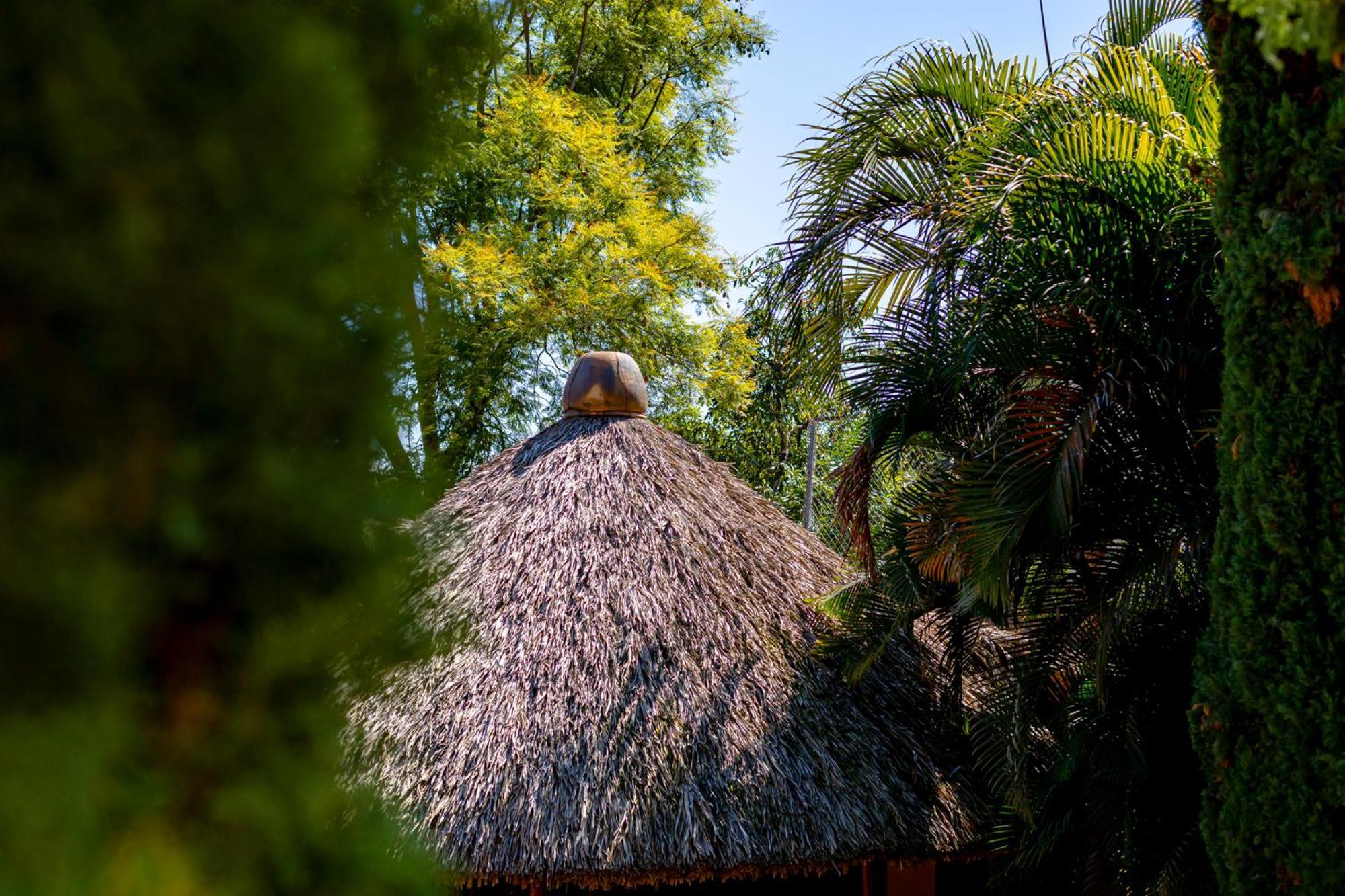 Hotel Casa Yunenisa Oaxaca Bagian luar foto